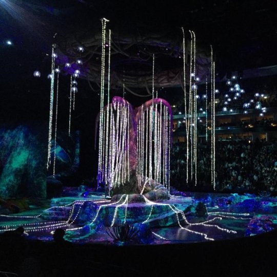 Kubíček Visionair | Cirque de Soleil 1